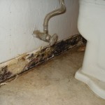 mold1